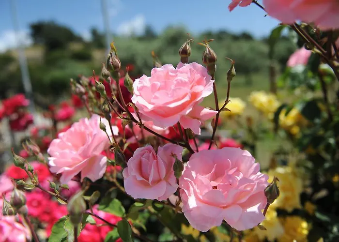 アパート Mythos ポトス